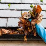 Puyallup Gutter Cleaning - photo 10