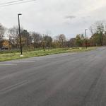 The Botanist - photo 1