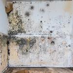 RestoPros Of Birmingham - photo 6