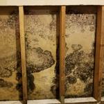 RestoPros Of Birmingham - photo 7