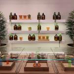 The Botanist - photo 3