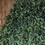 The Botanist - photo 2