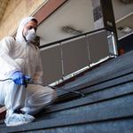 Mold Inspection Savannah - photo 1