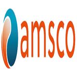 Amsco Fire Ltd - Professional Services in Rye
