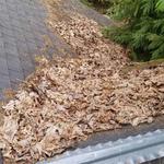 Roof Cleaning Gig Harbor - photo 6