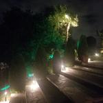 Kingsoutdoorlighting - photo 3