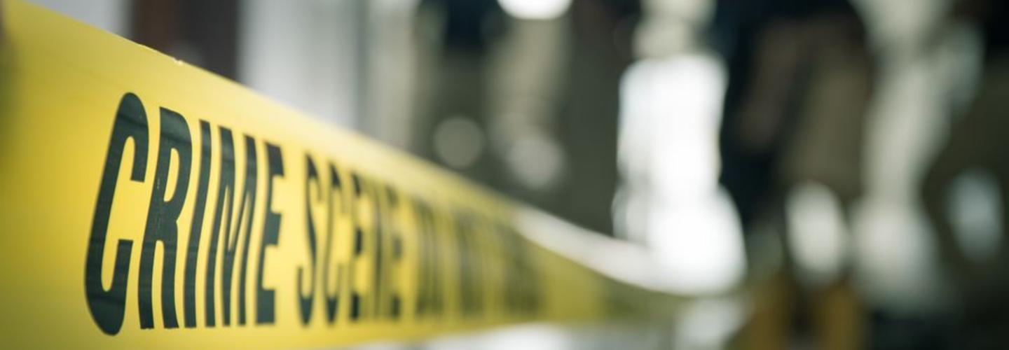 Solace Bio cover photo