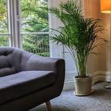Michael Neath Counselling and Psychotherapy - Psychotherapist in Shrewsbury