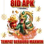 8ID - photo 6
