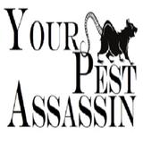 Your Pest Assassin - Pest Control in Chorley