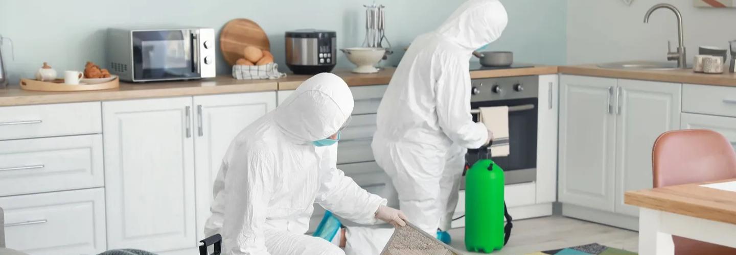 Kingdom Bio Recovery cover photo