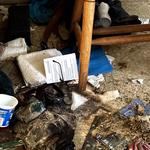 Kingdom Bio Recovery - photo 1