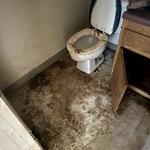 Kingdom Bio Recovery - photo 2