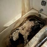 Kingdom Bio Recovery - photo 3