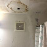 Kingdom Bio Recovery - photo 4