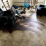 Kingdom Bio Recovery - photo 5