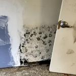 Kingdom Bio Recovery - photo 7