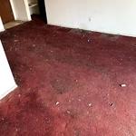 Kingdom Bio Recovery - photo 9