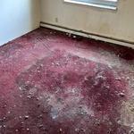 Kingdom Bio Recovery - photo 10