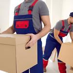 Panthersville Movers - photo 1