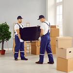 Panthersville Movers - photo 2