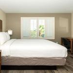 Best Western Houston Bush IAH Intercontinental Airport Inn - photo 6