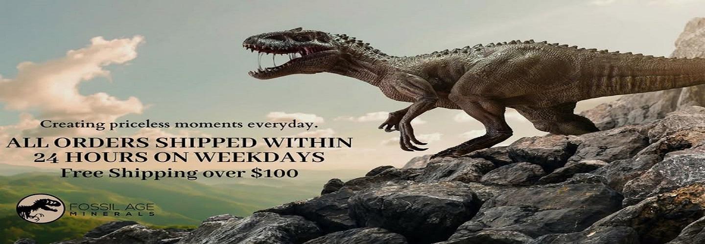 Fossil Age Minerals cover photo