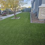 Desert Grass and Greens - photo 1