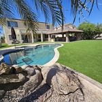 Desert Grass and Greens - photo 2