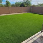 Desert Grass and Greens - photo 3