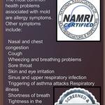 Page Inspections Plus Inc - photo 1