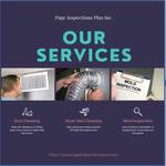 Page Inspections Plus Inc - photo 3