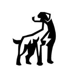 Big Dog Solar Energy - Solar Panel Installation in Grand Junction