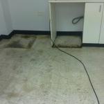 Franklean Carpet & Steam Cleaning Sydney - photo 3