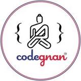 Codegnan Python course in Hyderabad