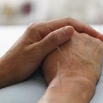 The Little Pin - photo 2