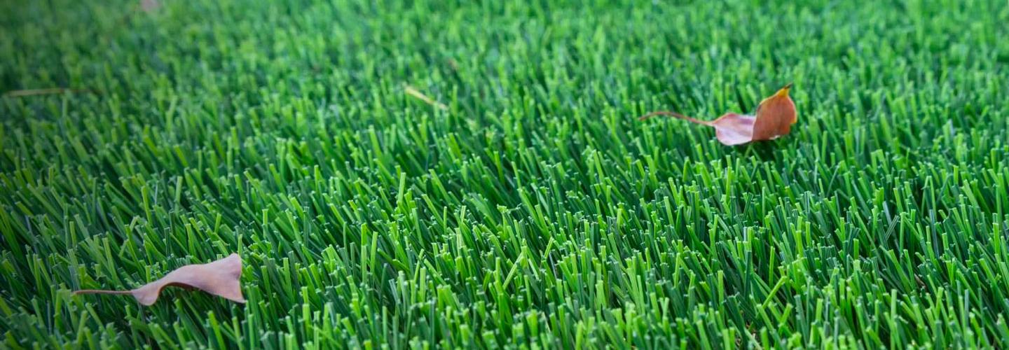 Synthetic Grass Warehouse cover photo