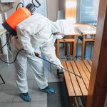 shermanoaksmoldremoval - photo 2