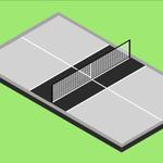 Pine State Courts Your Custom Sports Court Experts - photo 3