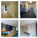 C&I Decorators Ltd - photo 2