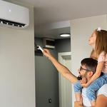 Elephant Energy - photo 1