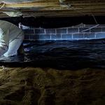 Vance Insulation & DryGuard Systems - photo 1