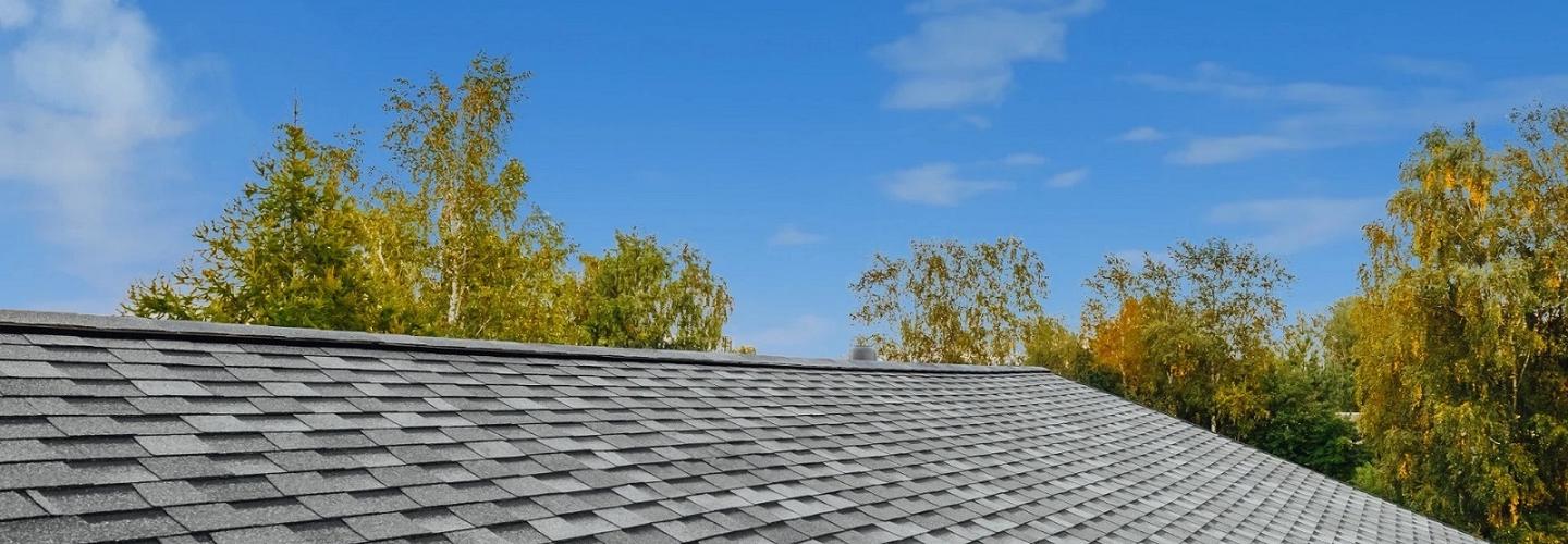 Dolphin Roofing cover photo