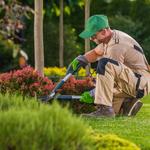 Harry Lawn Care - photo 1