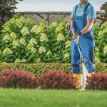 Harry Lawn Care - photo 6