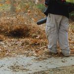 Harry Lawn Care - photo 9