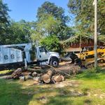 Pac-Tree LLC - photo 1