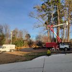 Pac-Tree LLC - photo 2