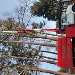 Pac-Tree LLC - photo 3