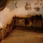 Mold-B-Gone - photo 2